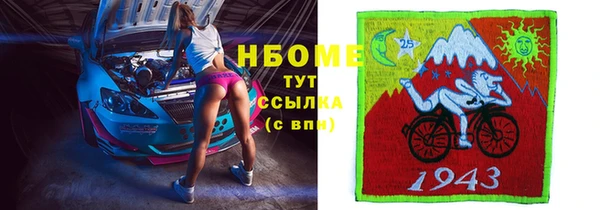 спайс Гусь-Хрустальный