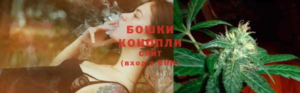 спайс Гусь-Хрустальный