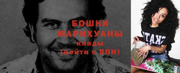 спайс Гусь-Хрустальный