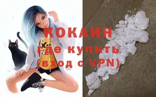 спайс Гусь-Хрустальный