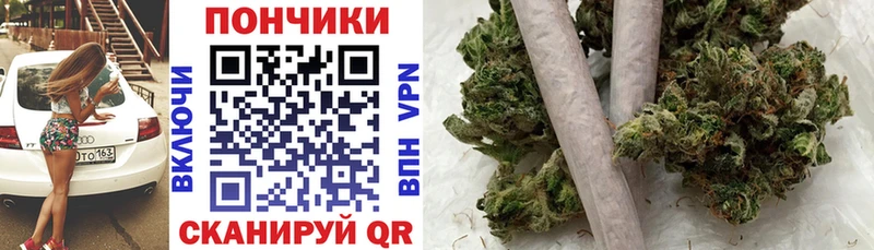 Бошки марихуана White Widow  Купить закладки  Славгород 